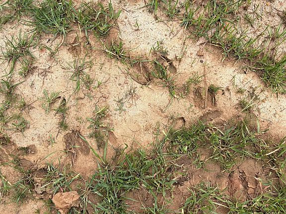 3rd image of Hightower Rd