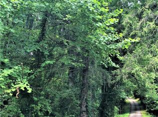 Shondra Dr, Waynesville, NC 28785