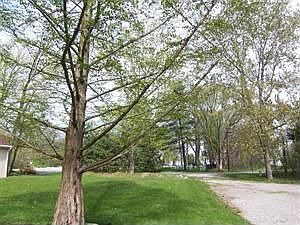 3rd image of 3134 Confederate Dr