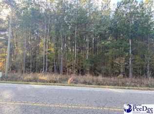 Savannah Grove Rd, Effingham, SC 29541