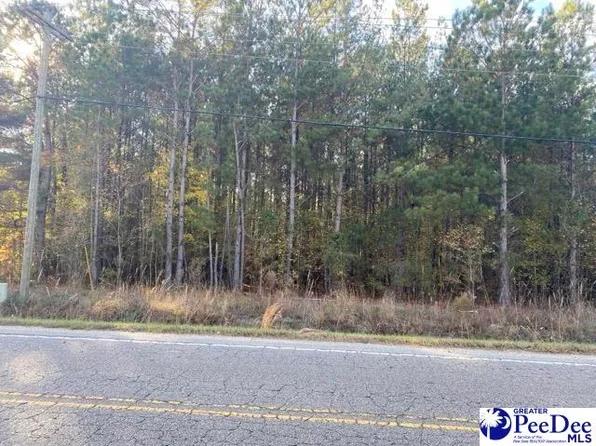 Savannah Grove Rd, Effingham, SC 29541