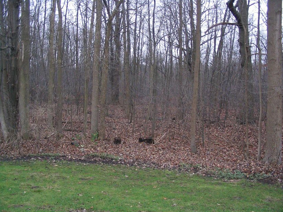 View of backyard during late fall