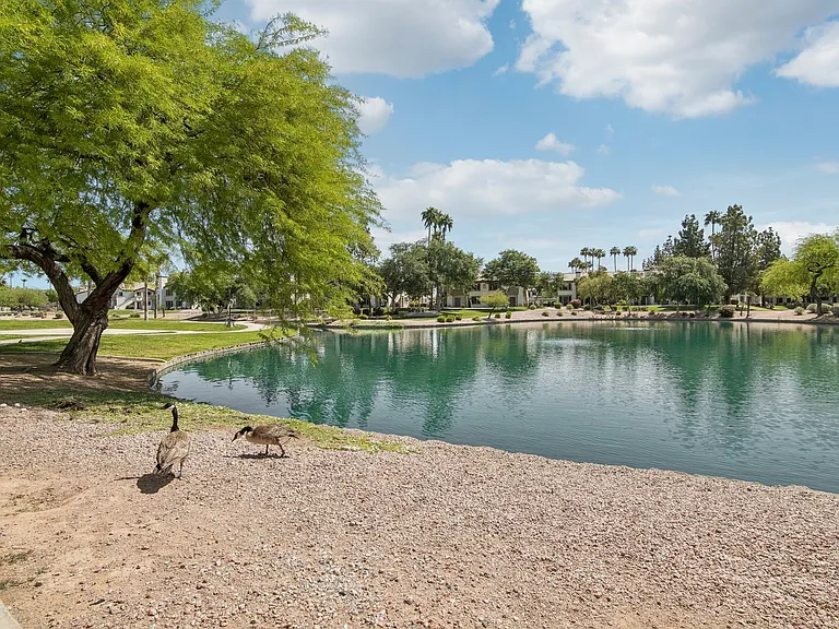 Lakeview at Superstition Springs — Photo 21