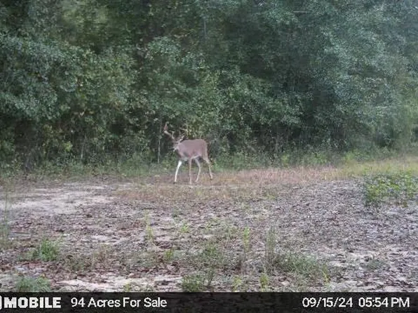 0 Mimosa Ln, Cottondale, FL 32431