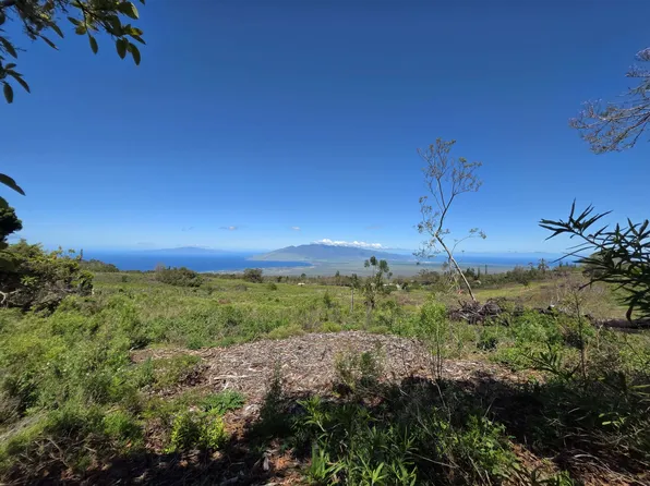 487 Cross Rd, Kula, HI 96790