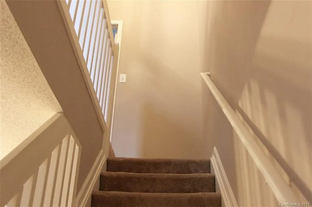 Cougar lane — Photo 3