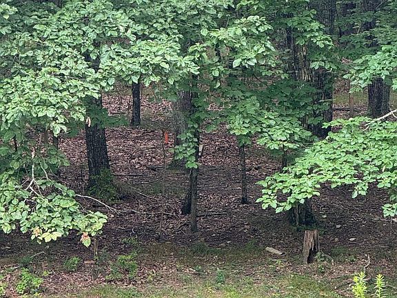3rd image of 4207 Chickasaw Dr SE