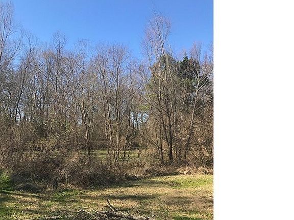 2nd image of 11436 Sungate Dr
