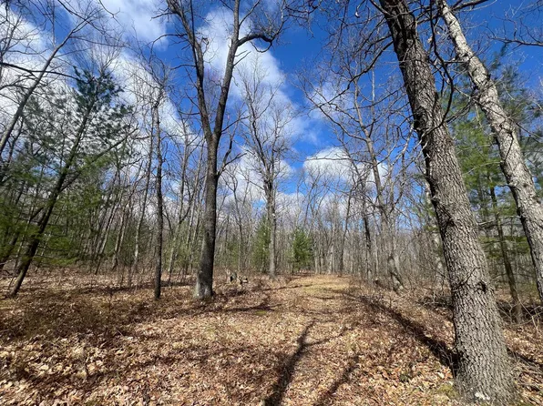 Emery Rd, Houghton Lake, MI 48629