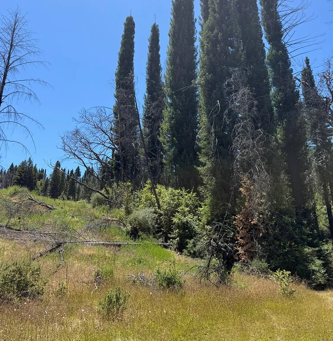 8158 Mill Creek Rd - Photo 2