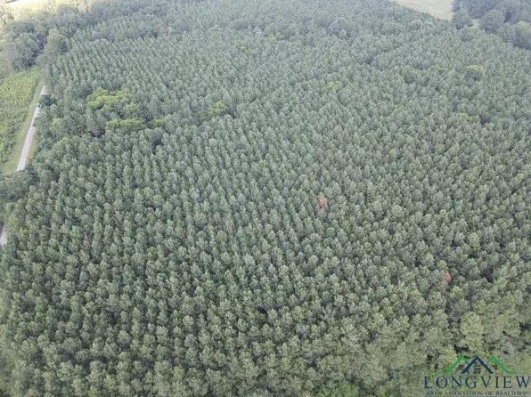 Fm 699, Joaquin, TX 75954