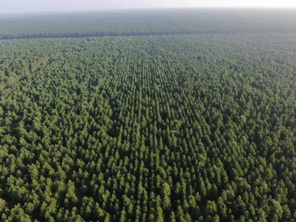 40 AC Adams Avenue, Nekoosa, WI 54457