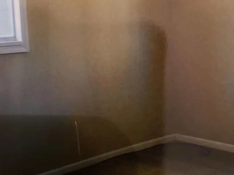 1229 Georgia St — Photo 6