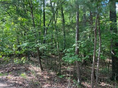 2 Cedar Ln, Morganton, GA, 30560