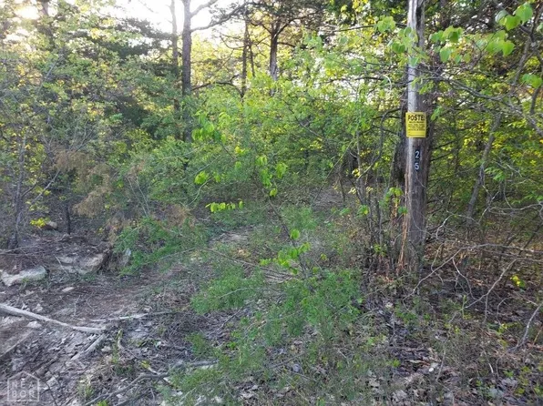 1 County Road 36, Clarkridge, AR 72623