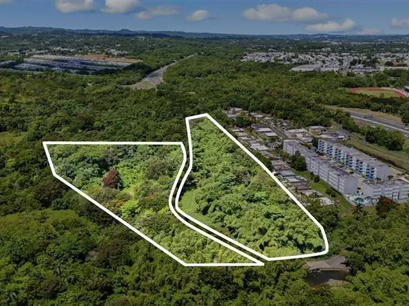 956 Bo Guzman Abajo Sector Galateo, Rio Grande, PR 00745