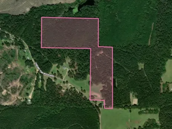 LOT 1 Tom Woodard Rd, Angie, LA 70426