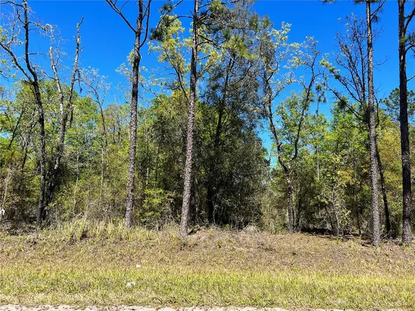 NE 80th St, Bronson, FL 32621