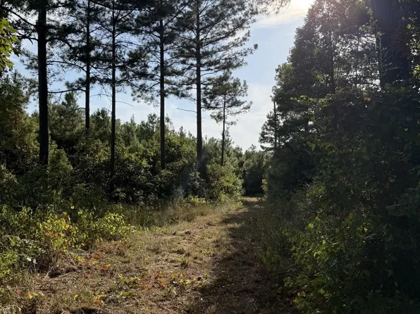W Liberty Rd, Jefferson, TX 75657