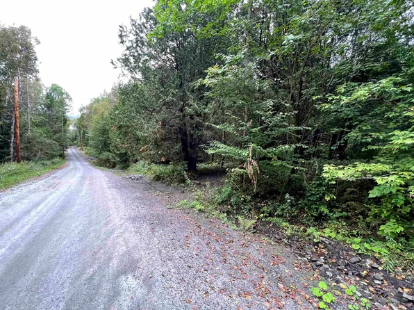 - Wayesses Shore Road Lot F, Morgan, VT 05853