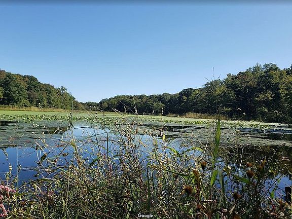 Forest Greens Lake Reserve