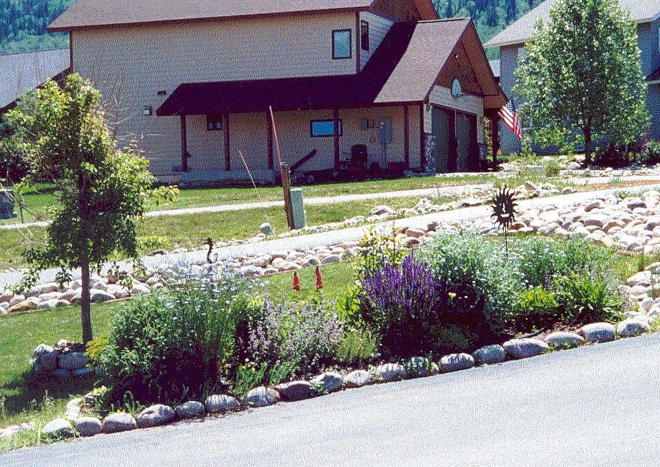 Summer Shot - North of Driveway