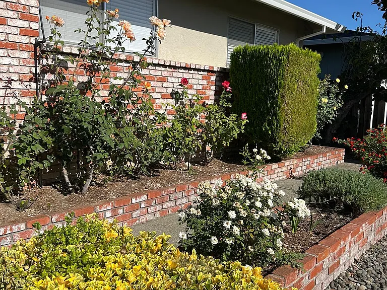 566 Joaquin Dr — Photo 4