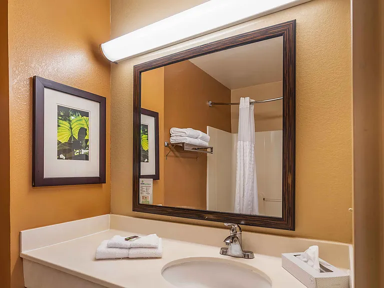 1 Bedroom Suite - 1 King Bed