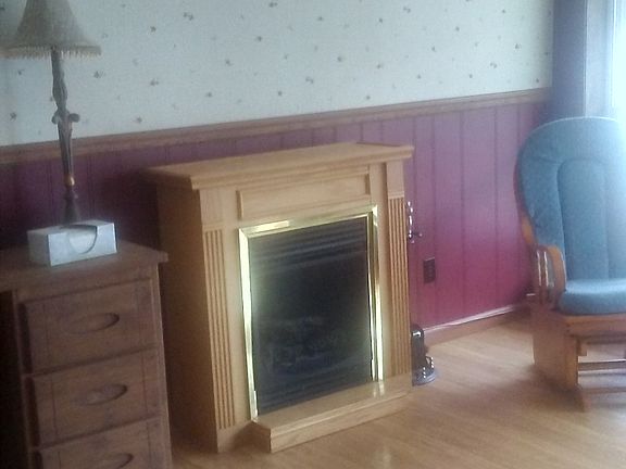 Propane Gas Fireplace