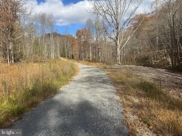 Adolph Rd, Mill Creek, WV 26280