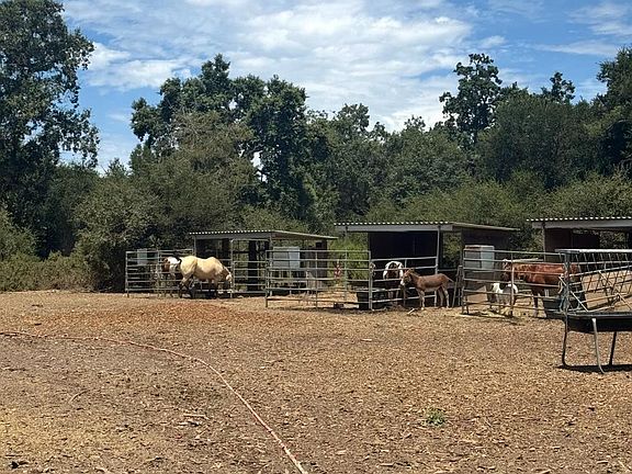 2nd image of 12847 Dunbar Road