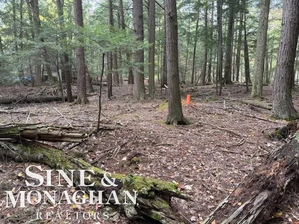 0 E Cherry Park Dr, Northport, MI 49670