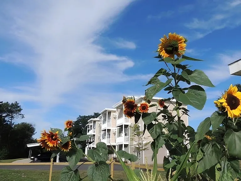 NetZero Village — Photo 24