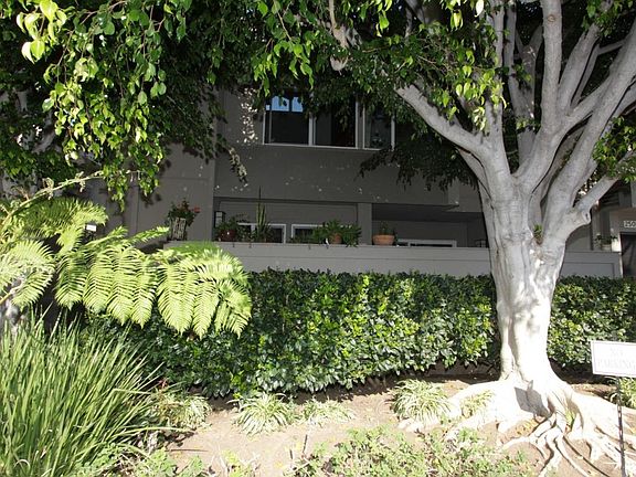3rd image of 2508 Arizona Ave