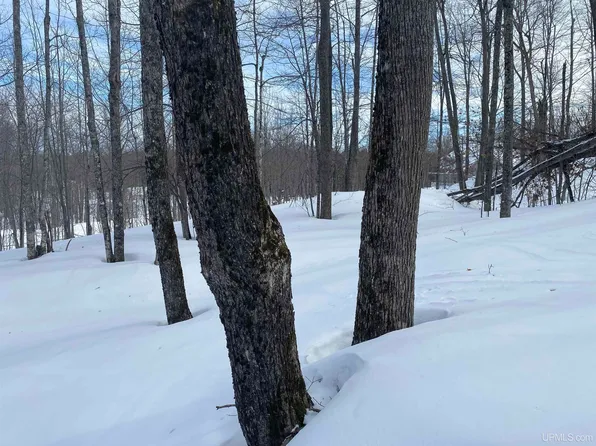 24 S Whealkate Dr, South Range, MI 49963