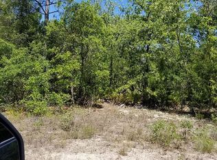 6038 W Shady Hollow Ct, Dunnellon, FL 34433