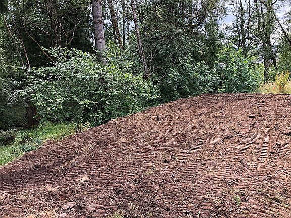 back of lot, near greenspace