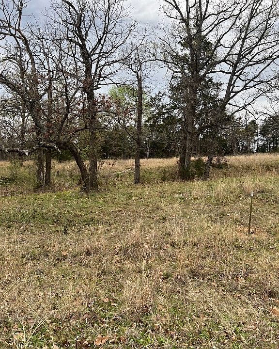 1st image of 19668 Dove Ridge Ln