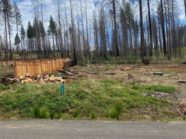 7554 Winding Way, Grizzly Flats, CA 95636