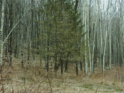 Keller Rd, Callicoon center, NY, 12724