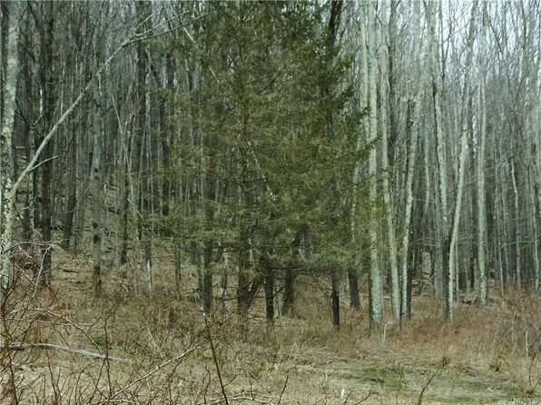 Keller Rd, Callicoon Center, NY 12724