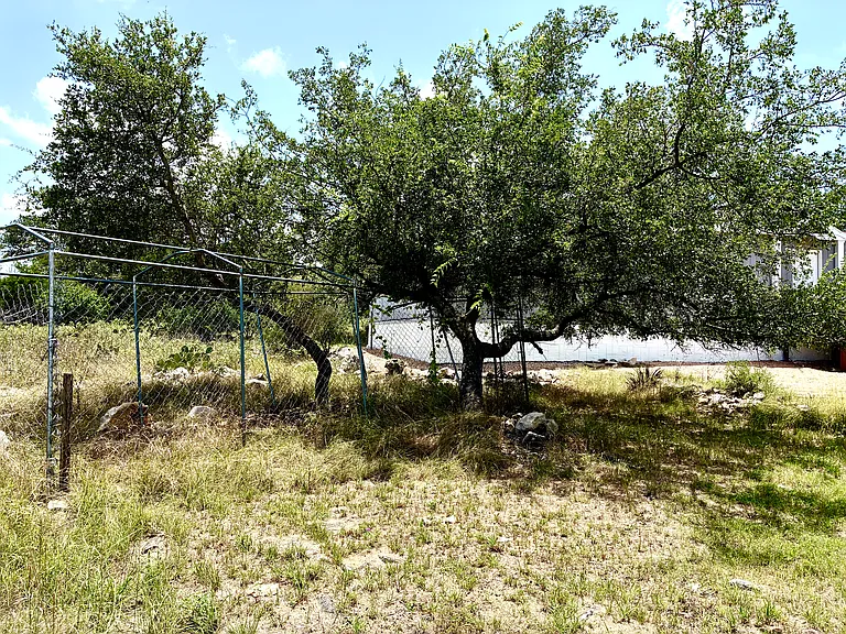 Shaded Pet Area
