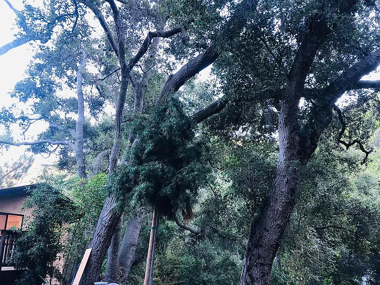 932 Old Topanga Canyon Rd — Photo 31