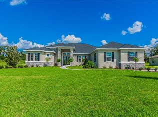 10914 Brice Tree Ct, Lithia, FL 33547