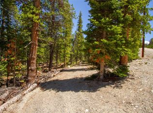 912 Bobcat Ln, Fairplay, CO 80440