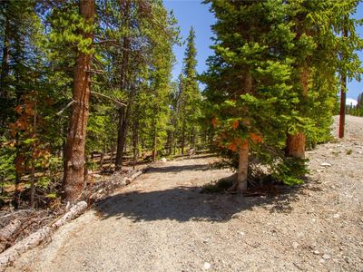 912 Bobcat Ln, Fairplay, CO, 80440