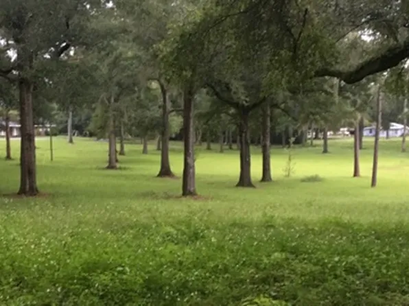 N Fletcher Ave, Mayo, FL 32066