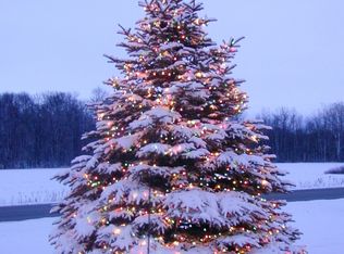 8265 N River Rd, Freeland, MI 48623