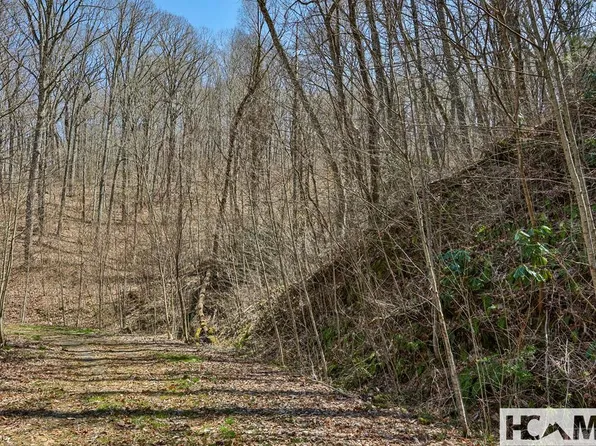TBD Bearwood Dr., Cullowhee, NC 28723
