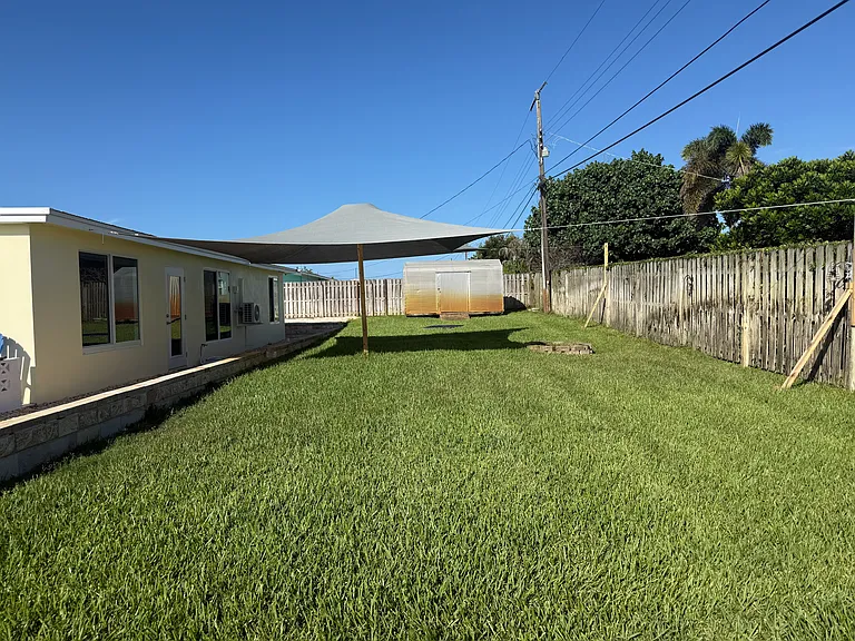 Back yard